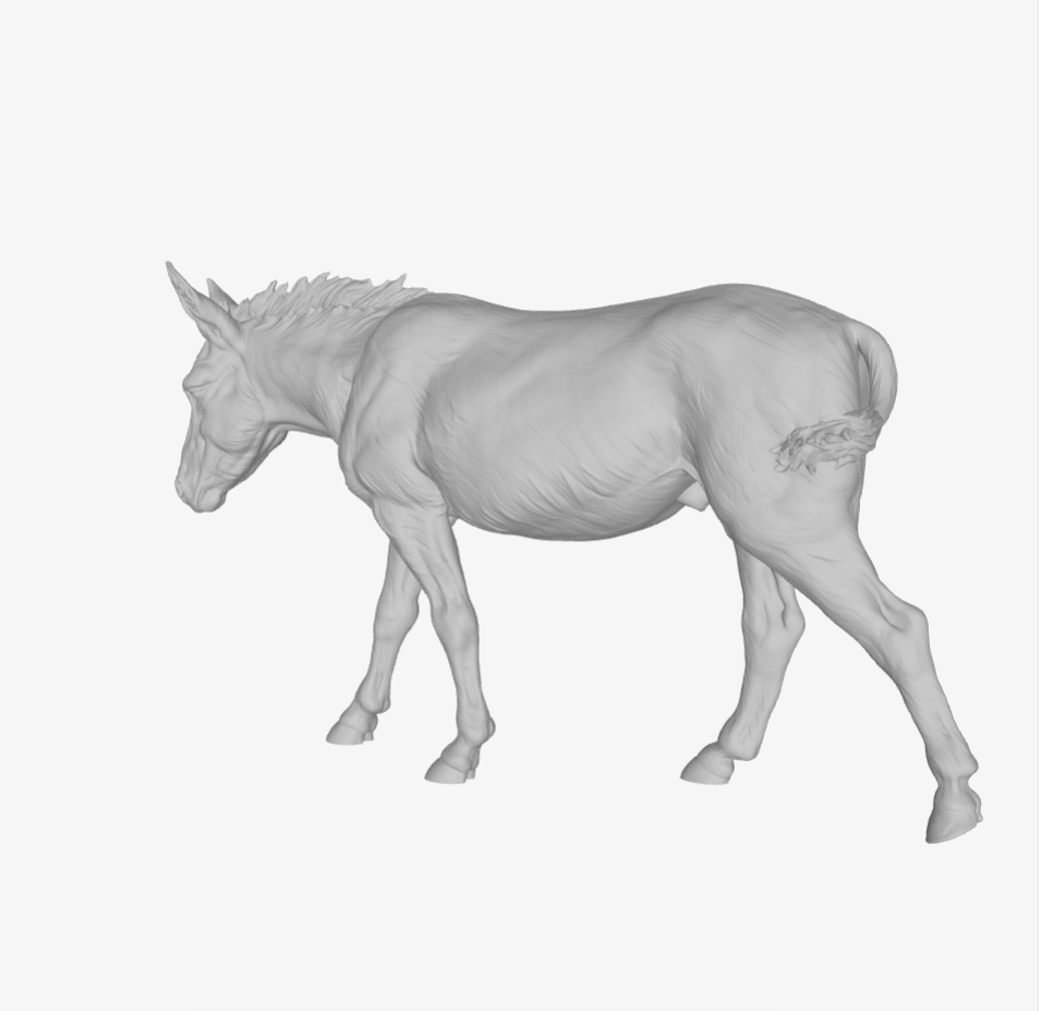 ADM007 Donkey walking
