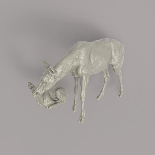 132s-005 Red Deer Hind and Fawn Animal