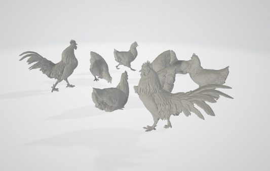 ADM003 Chickens and roosters