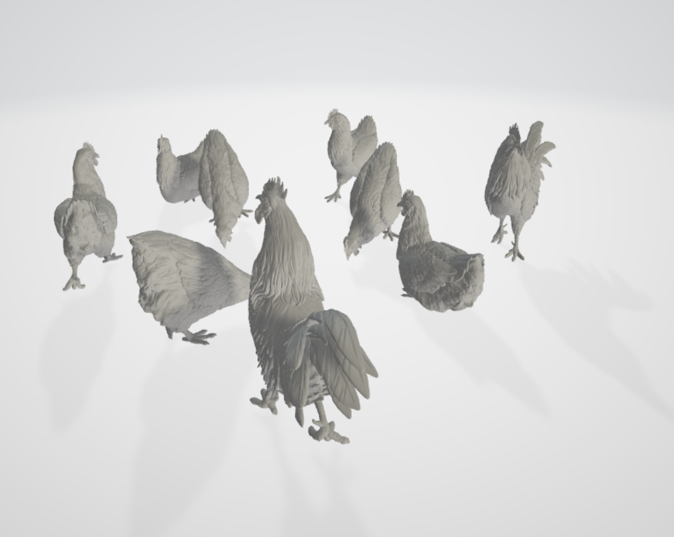 ADM003 Chickens and roosters