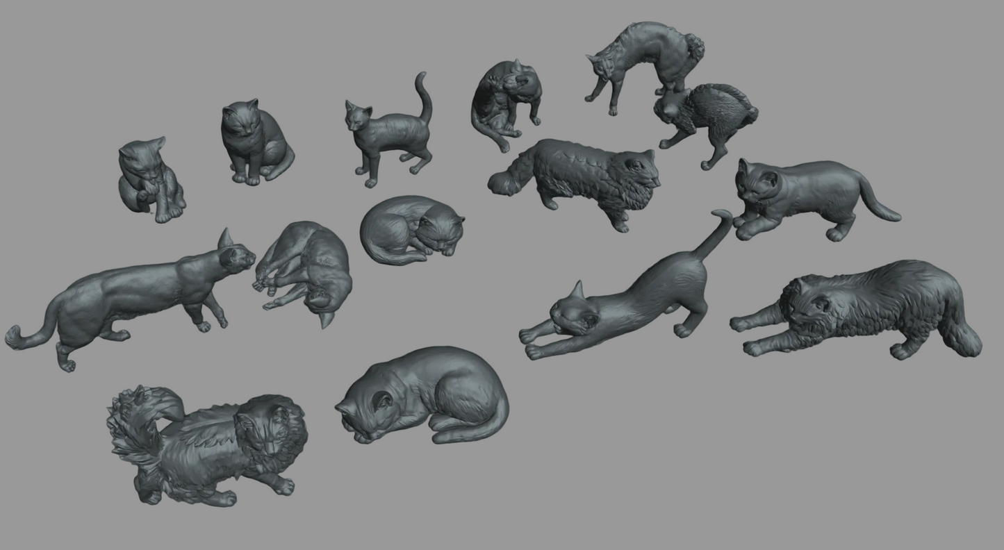 ADM004 Cats pack
