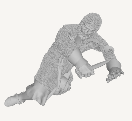 REM0208 Knights wrestling SetA