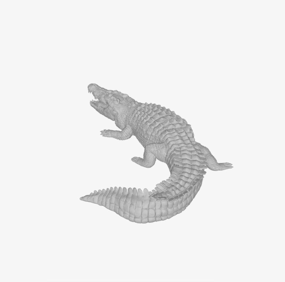 AD002 Saltwater crocodile