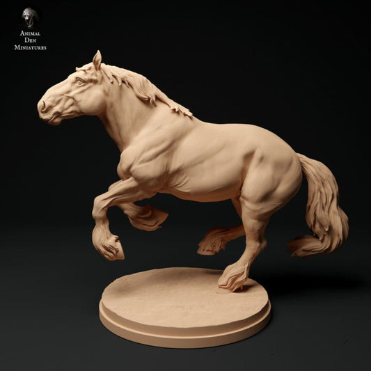 Adm1008 Suffolk-Punch-Horse-Running Animal