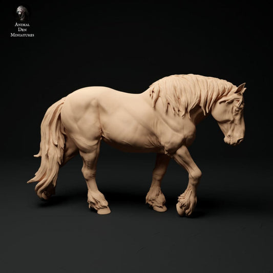 Adm1012 Suffolk-Punch-Mare-Walking Animal