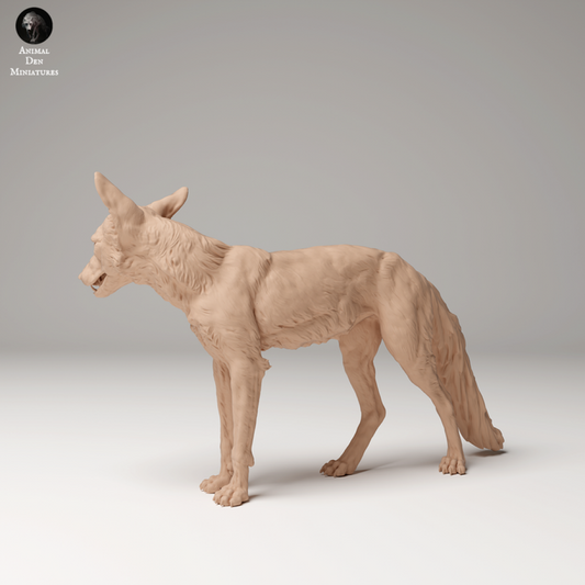 Adm2008 Red Fox X 3 Animal