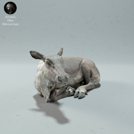 ADM2020 Reindeer / Caribou Female 1:32 Animal