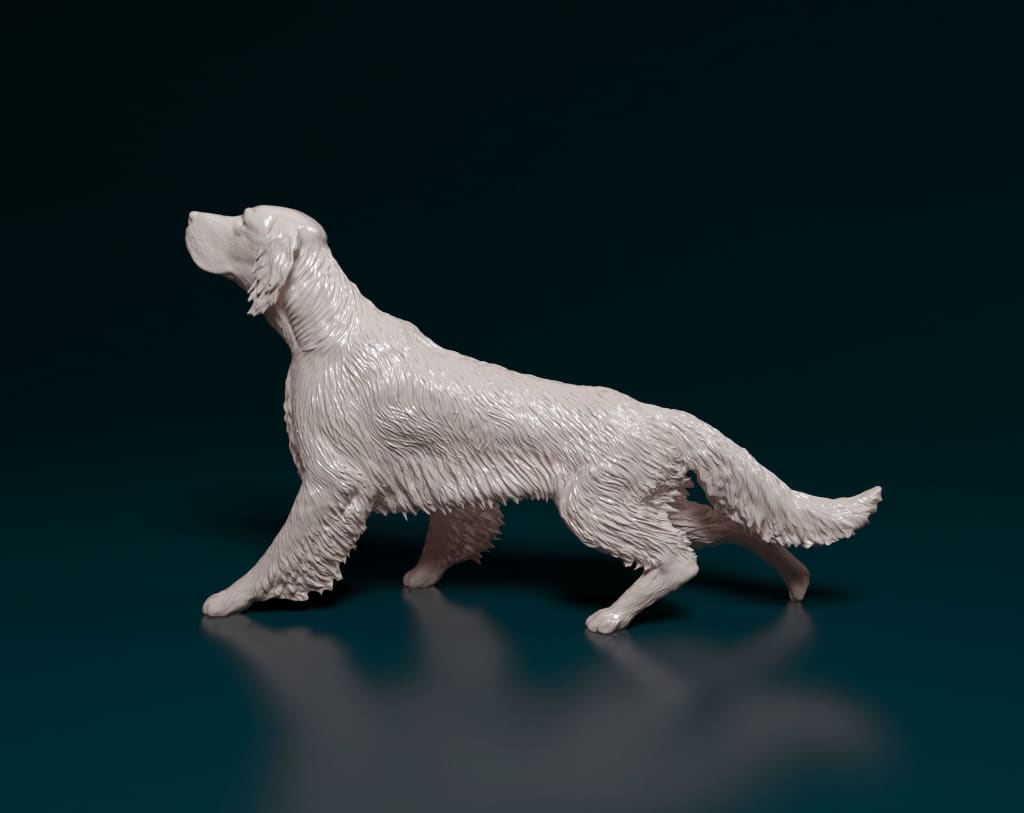 English Setter Dog