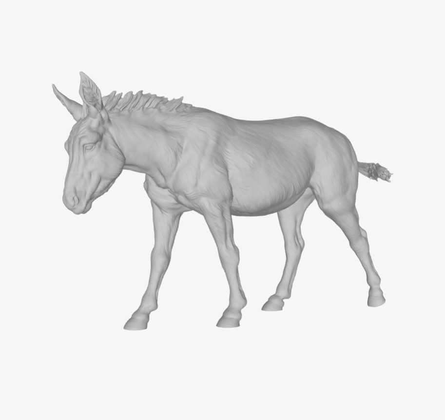 ADM007 Donkey walking