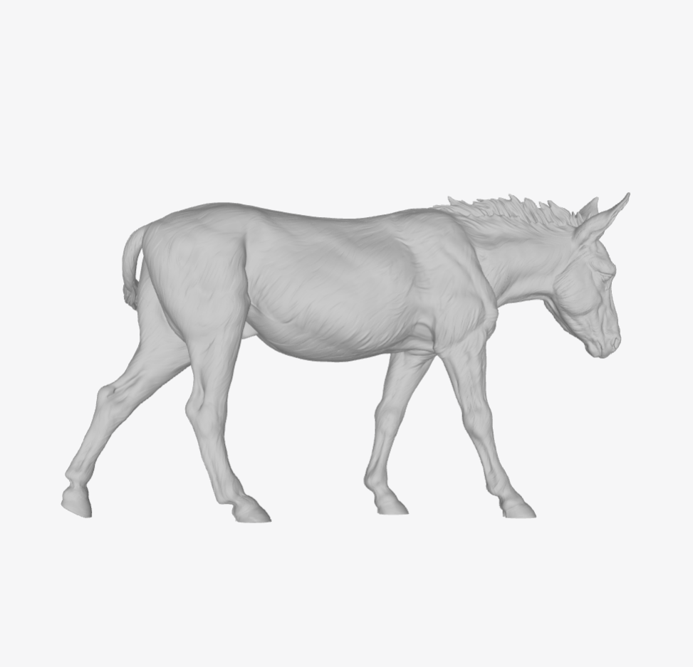 ADM007 Donkey walking