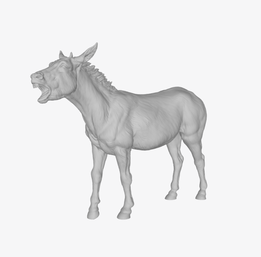 ADM008 Donkey bray