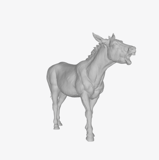 ADM008 Donkey bray