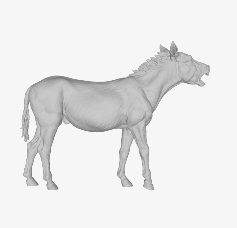 ADM008 Donkey bray