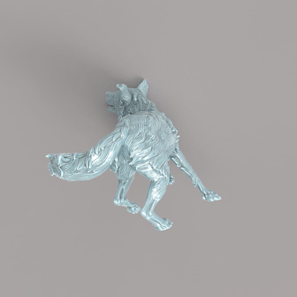 132s-002 Border Collie Running Animal