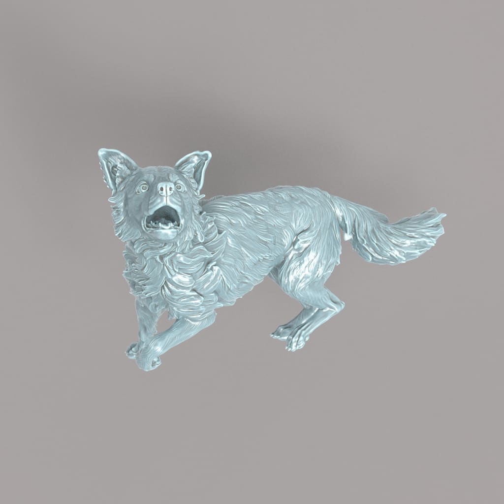 132s-002 Border Collie Running Animal