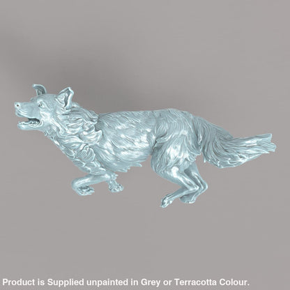 132s-002 Border Collie Running Animal