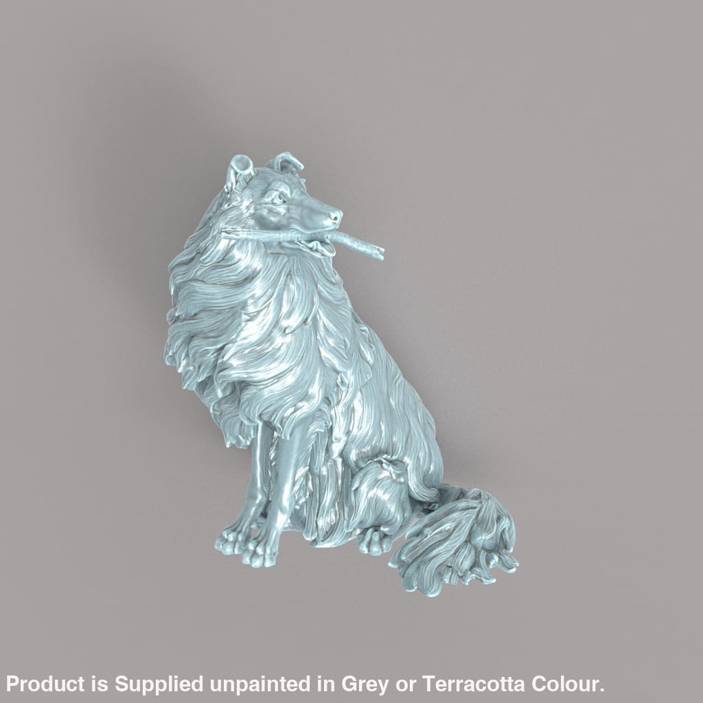 132s-003 Border Collie With Stick Animal