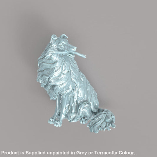 132s-003 Border Collie With Stick Animal