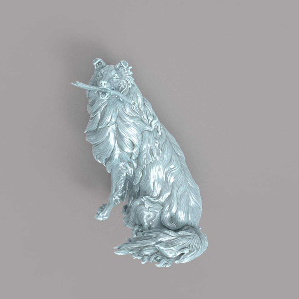 132s-003 Border Collie With Stick Animal