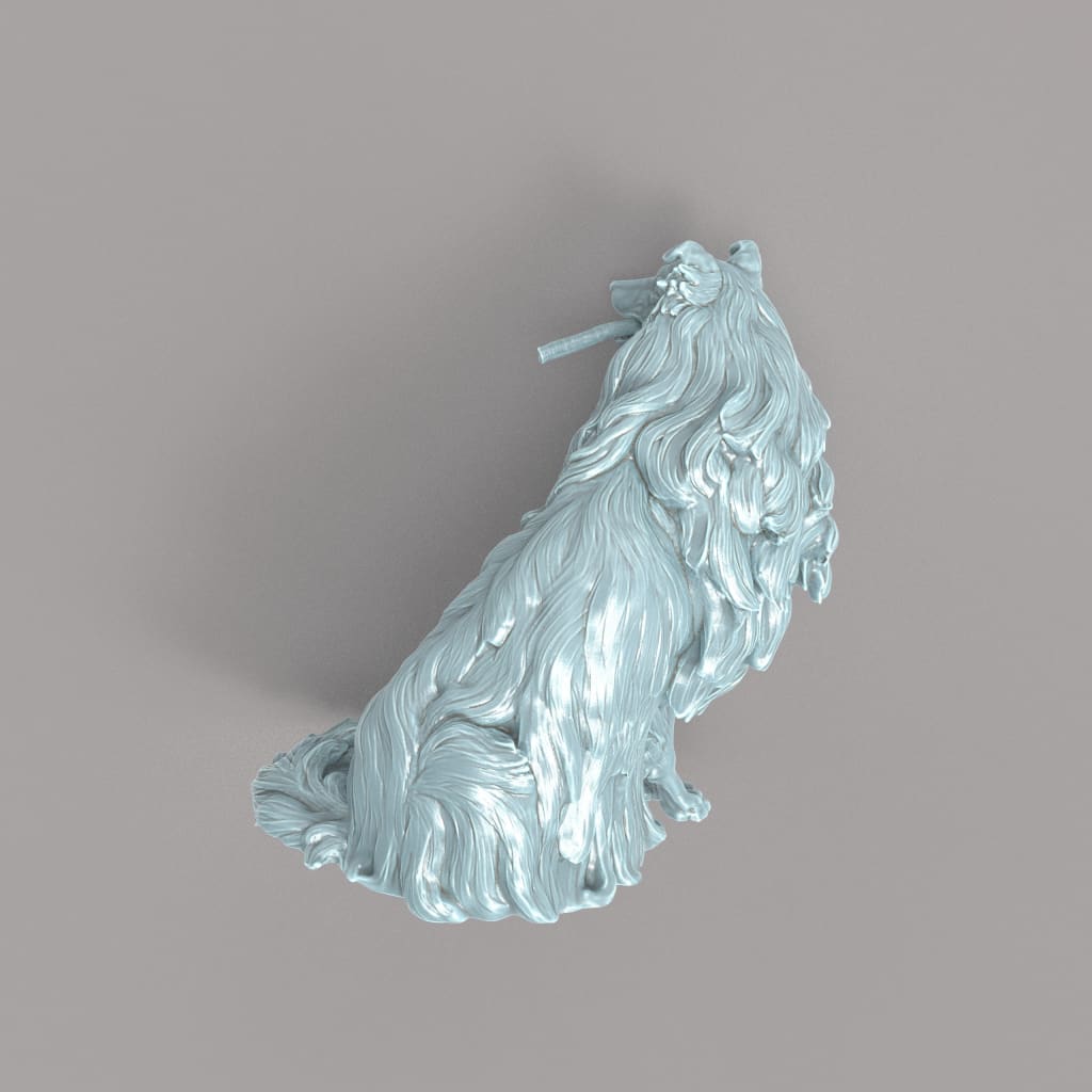 132s-003 Border Collie With Stick Animal