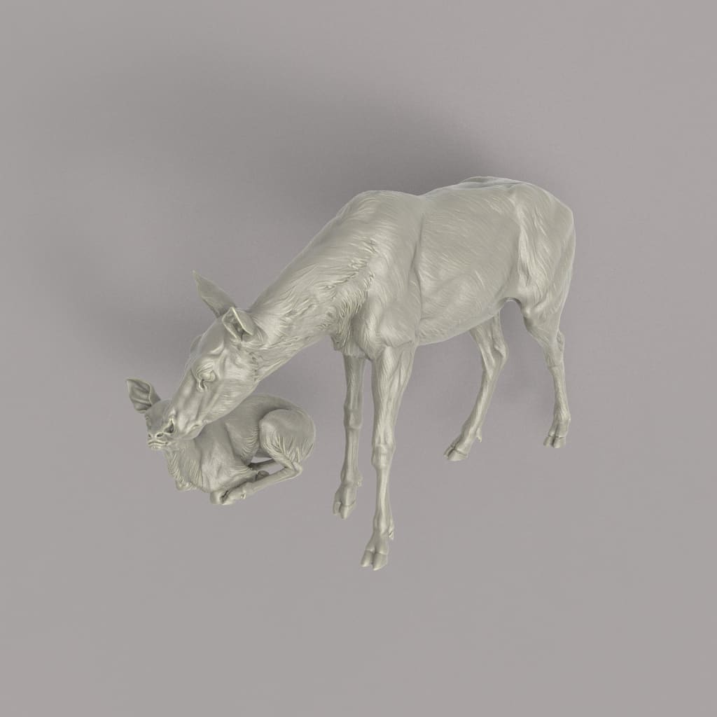 132s-005 Red Deer Hind and Fawn Animal