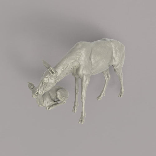 132s-005 Red Deer Hind and Fawn Animal