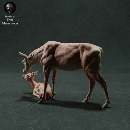 Adm200 Red Deer Hind And Fawn Animal
