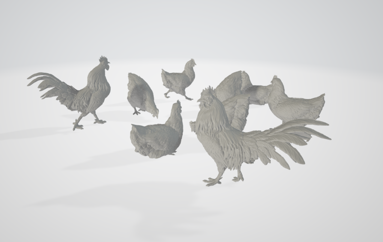 ADM003 Chickens and roosters