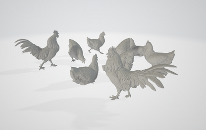 ADM003 Chickens and roosters