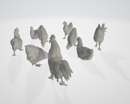 ADM003 Chickens and roosters
