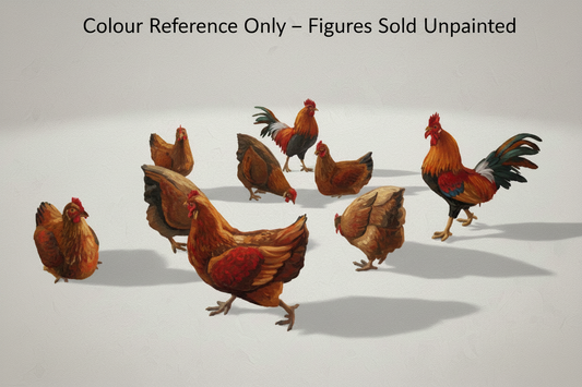 ADM003 Chickens and roosters