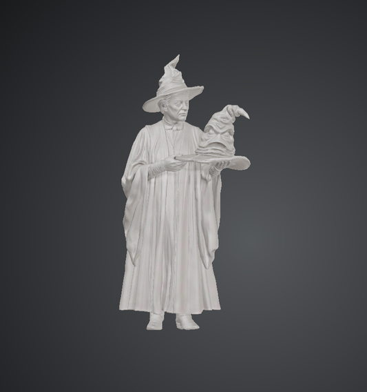 DG098 Professor Mcgonagall and the Sorting Hat -HP cosplay