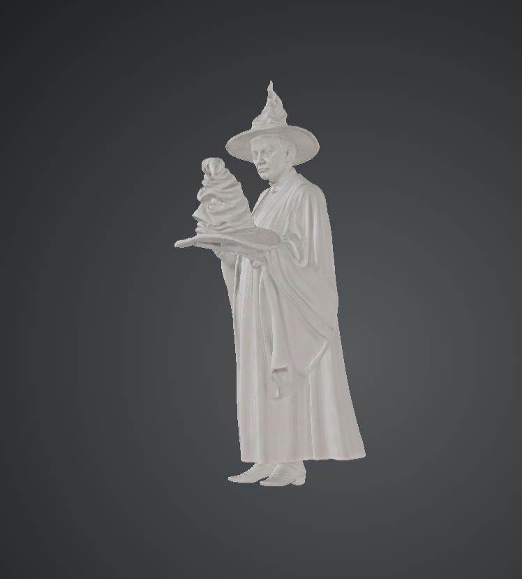 DG098 Professor Mcgonagall and the Sorting Hat -HP cosplay