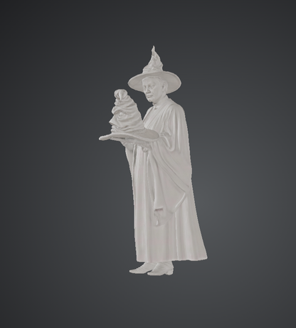 DG098 Professor Mcgonagall and the Sorting Hat -HP cosplay