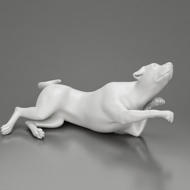 MM1228 Young Male sitting with Dog