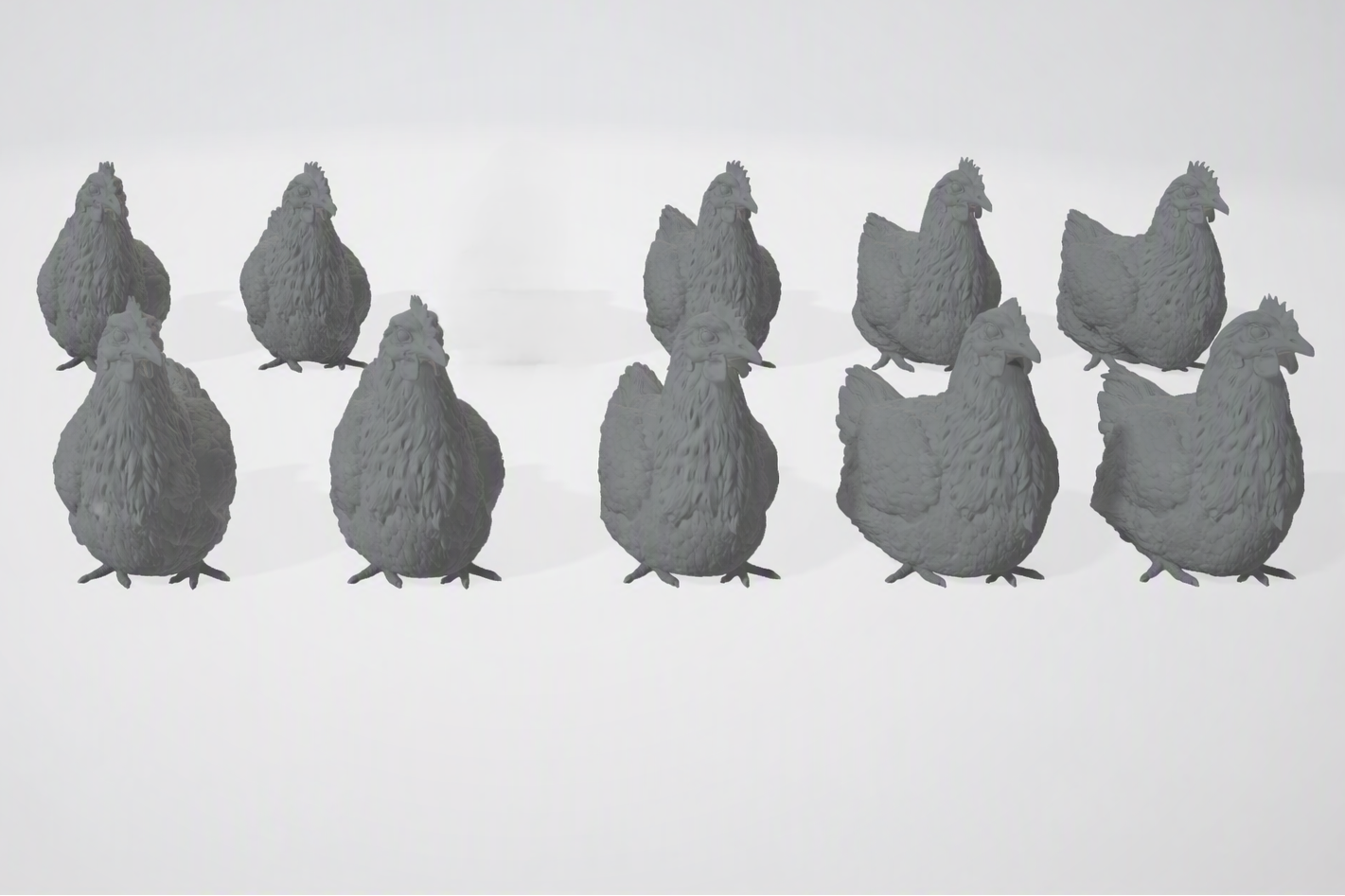 ADM005 Chickens sitting  x10