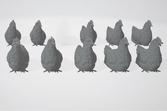 ADM005 Chickens sitting  x10