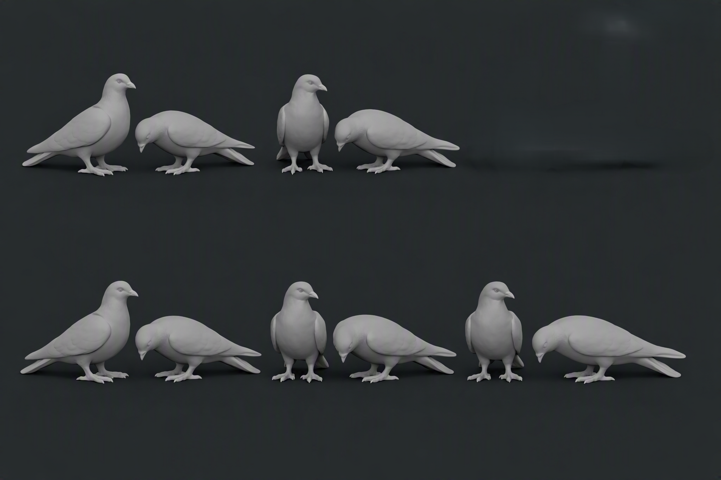 ADM009 Pigeons x10