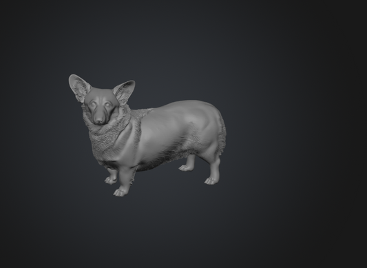 DG039 Corgi x2