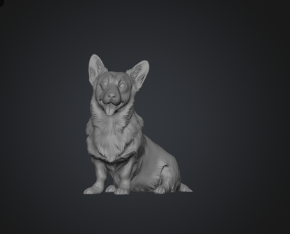 DG039 Corgi x2