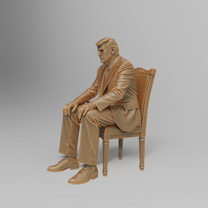 MM4387 Donald Trump 2025-2029