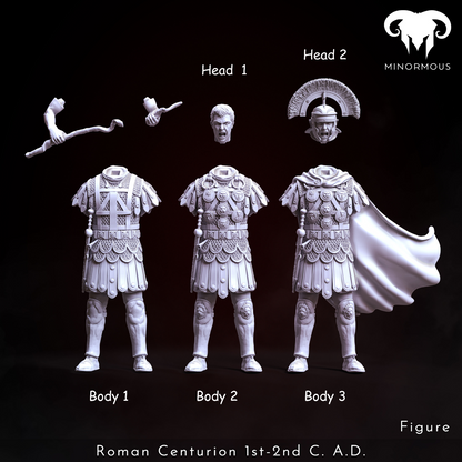 MIN112_ Roman Centurion 1st-2nd C. A.C. Discipline and Order!