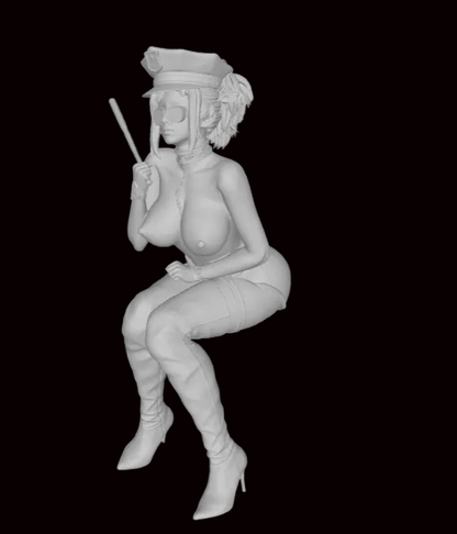 MM350 Police Pin Up Nova