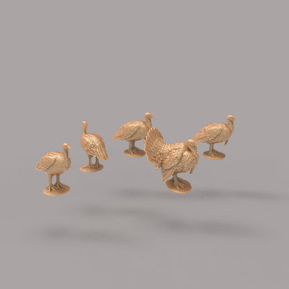 ADM2070 Turkey x 5