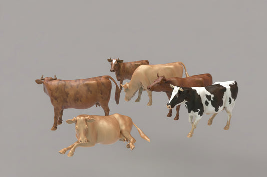 ADM2200 Dairy Cows Group x 6