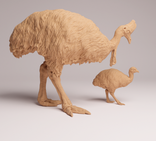 AD001 Southern Cassowary with chick