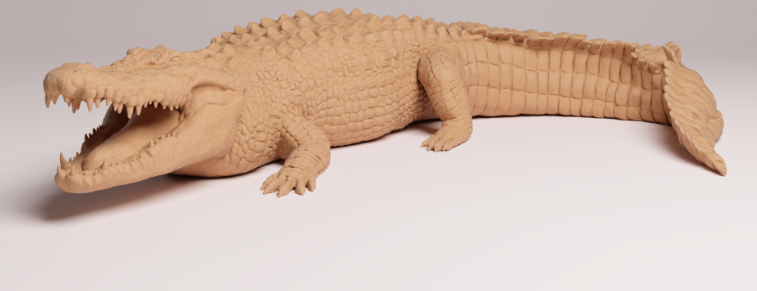 AD002 Saltwater crocodile