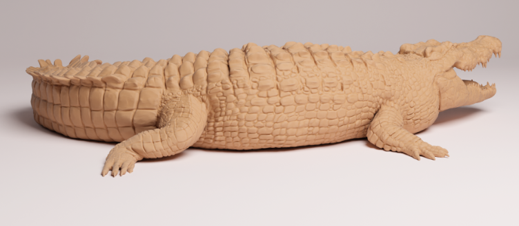 AD002 Saltwater crocodile