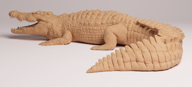 AD002 Saltwater crocodile