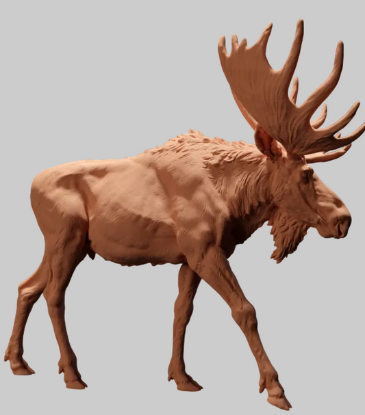 AD003 Moose